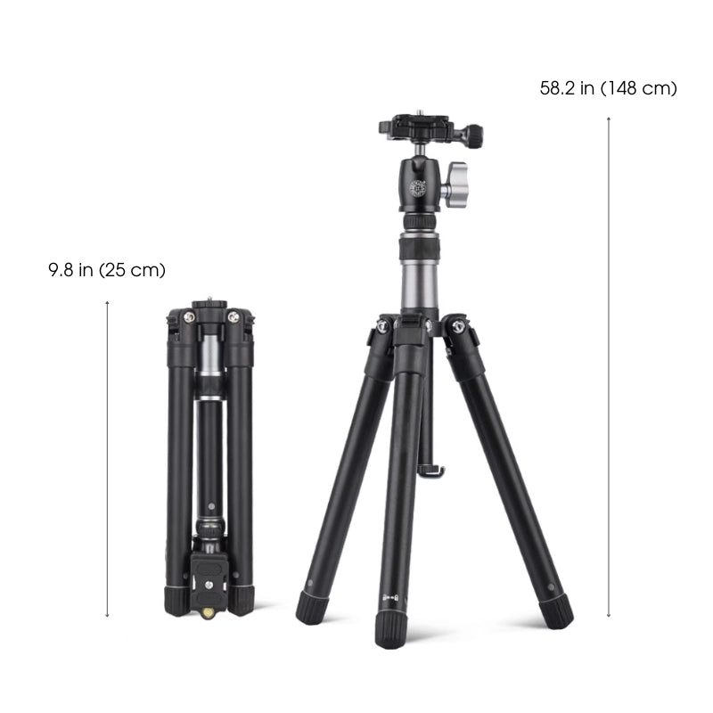 ArtMate - Kit de arte de nogal hecho a mano (Edición Maestra)